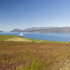 Agriculture and sheep farming near Itilleq in South Greenland at the shore of Eriksfjord Agriculture and sheep farming near Itilleq in South Greenland at the shore of Eriksfjord