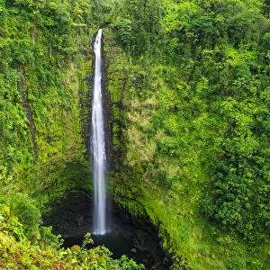 Akaka Falls, Akaka Falls State Park, Hamakua Coast, The Big Island, Hawaii, USA