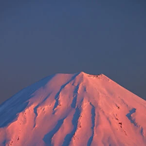 Alpenglow on Mt. Ngauruhoe at dawn, Tongariro National Park, Central Plateau, North Island