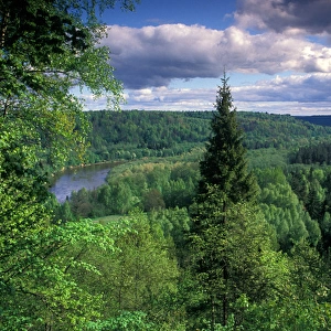 Ancient valley of Gauja River in the Guaja National Park from Painters / Artist s