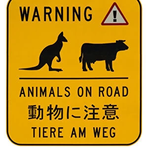 Animals on Road Warning Sign, Australia
