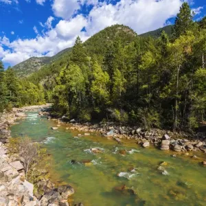 The Animas River, San Juan National Forest, Colorado USA The Animas River, San Juan National Forest, Colorado USA