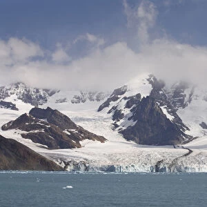 Antarctica, South Georgia, Royal Bay. View of Weddell Glacier