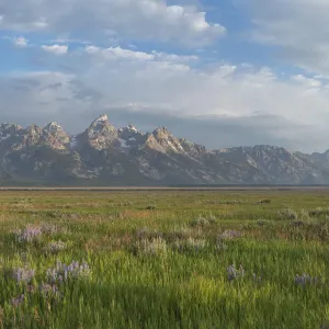 Antelope Flats, Grand Teton National Park Antelope Flats, Grand Teton National Park