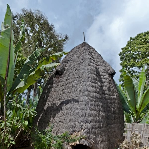 Arba Minch Chencha Ethiopia Africa Dorze tribe village elephant type home in village