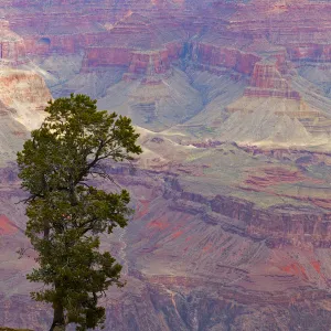 Arizona, Grand Canyon National Park, South Rim