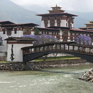 Asia, Bhutan. Cantilevered foot bridge near the entrance to the Punakha Dzong palace
