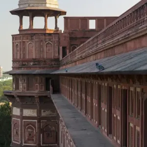 Asia, India. Agra fort. Two pigeons sit on the roofs ledge Asia, India. Agra fort. Two pigeons sit on the roofs ledge