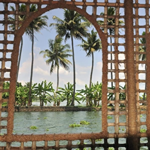 Asia, India, Kerala (Backwaters). Shoreline of the Kerala Backwaters from a houseboat