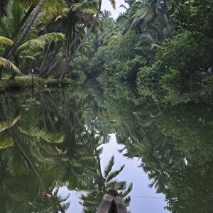 Asia, India, Kerala (Backwaters). A Kerala Backwaters canal