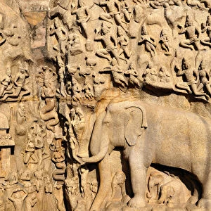 Asia, India, Tamil Nadu, Mahabalipuram. The Bhagirathas Penance bas relief