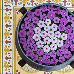 Asia, Vietnam, Mui Ne. Pink and white flowers floating on water in a large pot