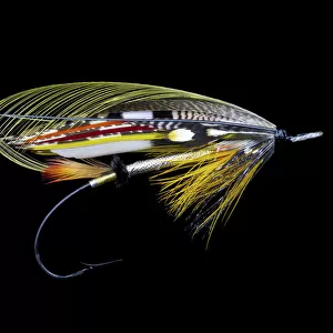Atlantic Salmon Fly designs Dusty Miller