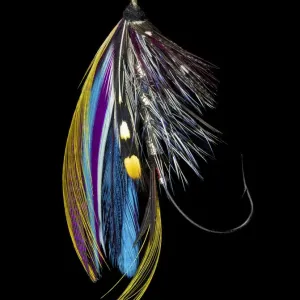Atlantic Salmon Fly designs Jay Body Atlantic Salmon Fly designs Jay Body