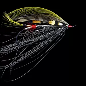 Atlantic Salmon Fly designs Pitcroy Fancy