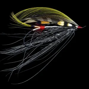 Atlantic Salmon Fly designs Pitcroy Fancy Atlantic Salmon Fly designs Pitcroy Fancy