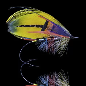 Atlantic Salmon Fly designs Shannon