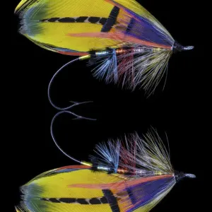 Atlantic Salmon Fly designs Shannon