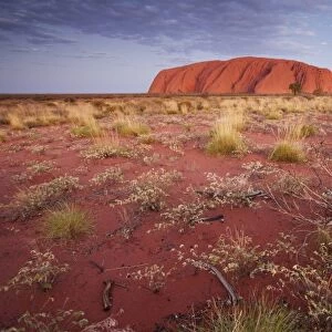 Australia, Northern Territory, Uluru-Kata Tjuta National Park. Red sand desert surrounding