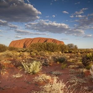 Australia, Northern Territory, Uluru-Kata Tjuta National Park. Setting sun lights