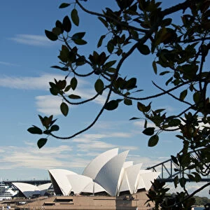 Australia, NSW, Sydney. View of the Sydney Opera House and Harbour Bridge from the