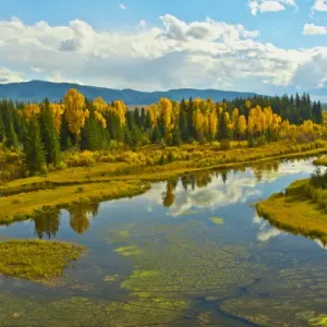 autumn afternoon at Lava Creek, Grand teton National Park, Wyoming, USA