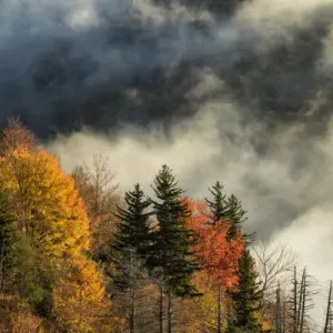 Autumn Colors and mist at sunrise, Blue Ridge Mountains from Blue Ridge Parkway at sunrise