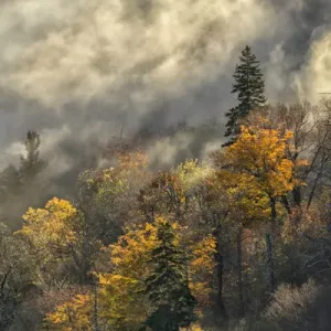 Autumn Colors and mist at sunrise, Blue Ridge Mountains from Blue Ridge Parkway at sunrise