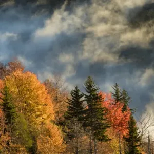 Autumn Colors and mist at sunrise, Blue Ridge Mountains from Blue Ridge Parkway at sunrise