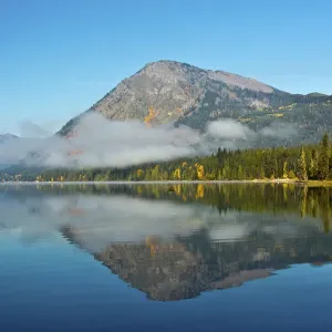 Autumn foliage, Lake Wenatchee, Washington State, USA Autumn foliage, Lake Wenatchee, Washington State, USA