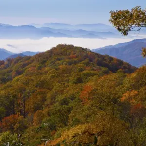 Autumn in the Great Smoky Mountain National Park, Tennessee