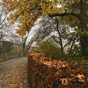 Autumn leaves and walkway from Munot Castle, Schaffhausen, Switzerland