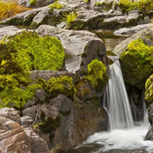 autumn, Little Falls, Steamboat Creek, Umpqua National Forest, Oregon, USA