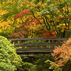 autumn, Moon Bridge, Portland Japanese Garden, Portland, Oregon, USA