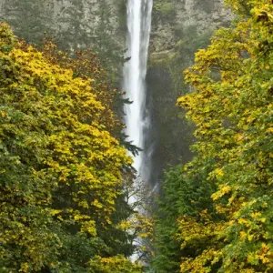 autumn, Multnomah Falls, Columbia Gorge, Oregon, USA