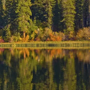Autumn reflection, Fish Lake, Wenatchee National Forest, Washington State, USA Autumn reflection, Fish Lake, Wenatchee National Forest, Washington State, USA