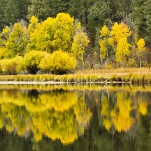 Autumn Reflections Print, Oregon Landscape Autumn Reflections Print, Oregon Landscape