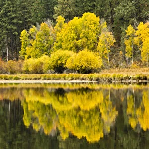 autumn reflections, Aspen Camp, Deschutes River, Deschutes National Forest, Oregon, USA