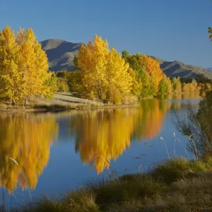 Autumn reflections in Kellands Pond, near Twizel, Mackenzie District, South Canterbury Autumn reflections in Kellands Pond, near Twizel, Mackenzie District, South Canterbury