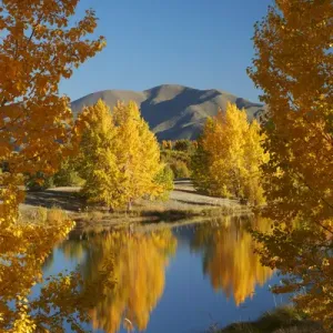 Autumn Reflections Print, Kellands Pond near Twizel Autumn Reflections Print, Kellands Pond near Twizel