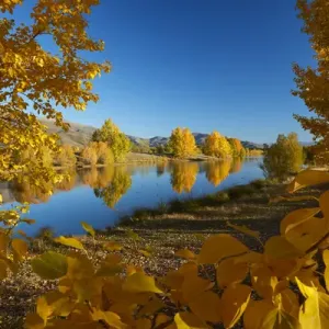 Autumn reflections in Kellands Pond, near Twizel, Mackenzie District, South Canterbury Autumn reflections in Kellands Pond, near Twizel, Mackenzie District, South Canterbury