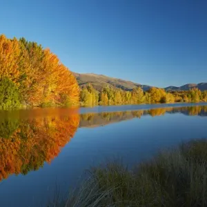 Autumn reflections in Kellands Pond, near Twizel, Mackenzie District, South Canterbury Autumn reflections in Kellands Pond, near Twizel, Mackenzie District, South Canterbury