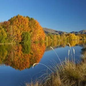 Autumn reflections in Kellands Pond, near Twizel, Mackenzie District, South Canterbury Autumn reflections in Kellands Pond, near Twizel, Mackenzie District, South Canterbury