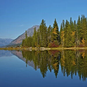 Autumn reflections, Lake Wenatchee, Wenatchee National Forest, Washington State, USA