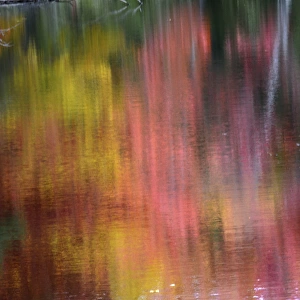 Autumn reflections, Sheepscot River, Palermo, Maine, USA