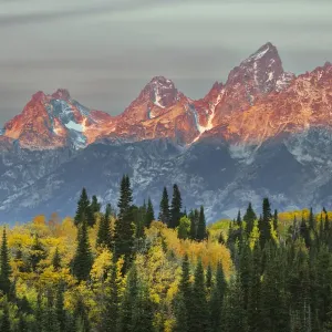 Autumn view of Teton Range at sunrise, Grand Teton National Park, Wyoming Autumn view of Teton Range at sunrise, Grand Teton National Park, Wyoming