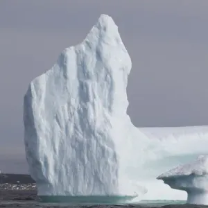 Canada Prints: Newfoundland