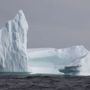 Avalon Peninsula