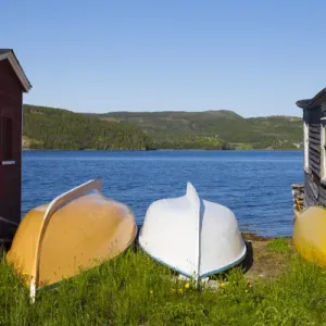 Avalon Peninsula