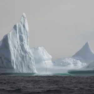 Avalon Peninsula